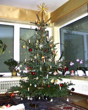 ドイツのクリスマスは本物の木を買って飾る