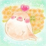 まりもの「今日は何の日」2025/04/13～04/19