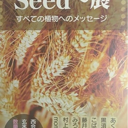 Seed～展