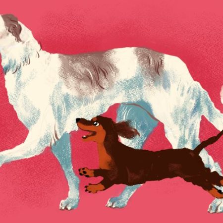 第３回犬の日特集③