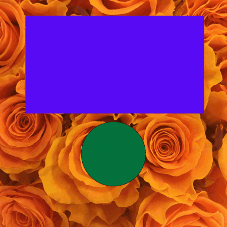 2025クリスマス特集③　