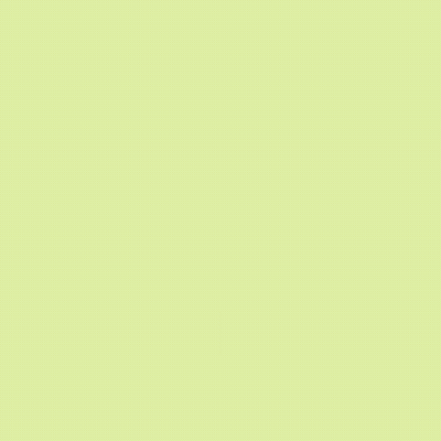 第13回 ミツバチイラストコンテスト